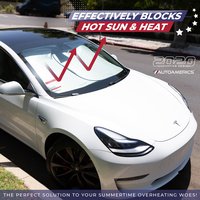 TESLA effectively blocks.jpg