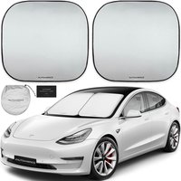 tesla main photo 2.jpg